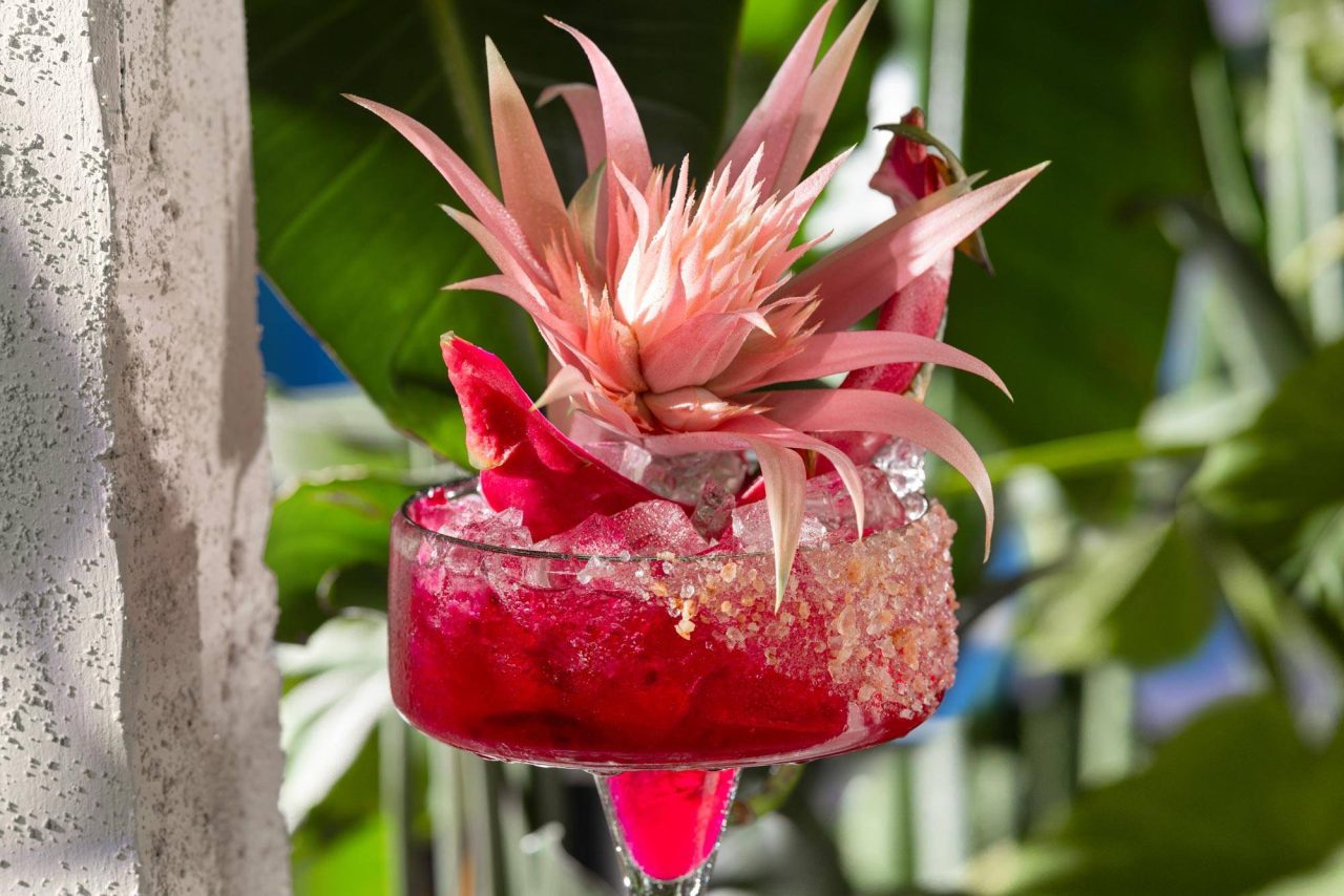 Close-up photography of a pink margarita in an elegant glass with a big pink flower as a garnish.