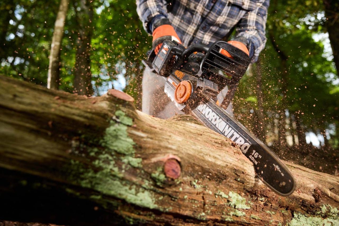 Close-up image of a person using a chainsaw to cut a large tree on the ground.