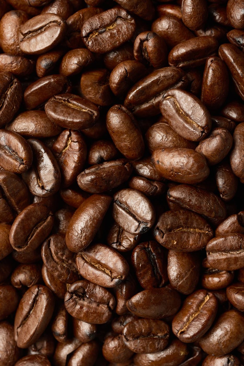 Close-up image of roasted coffee beans with a rich, dark brown color. The shiny surface indicates fresh roasting, and the beans vary slightly in size and shape, showing natural texture and detail.