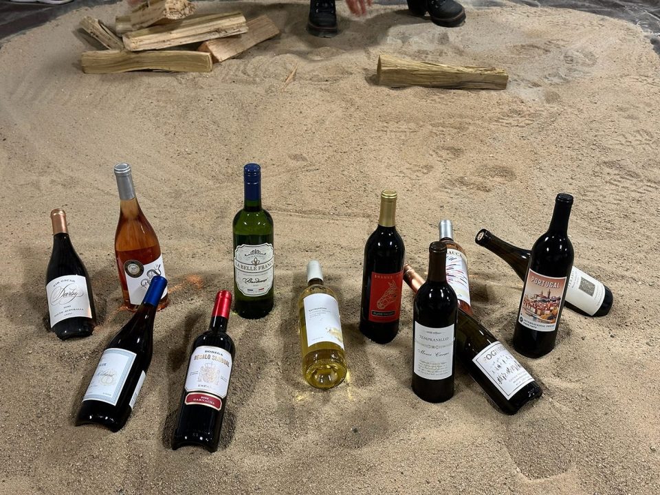 Various wine bottles are arranged on sandy ground, with pieces of firewood in the background. A person's shoe is partially visible near the top of the image.