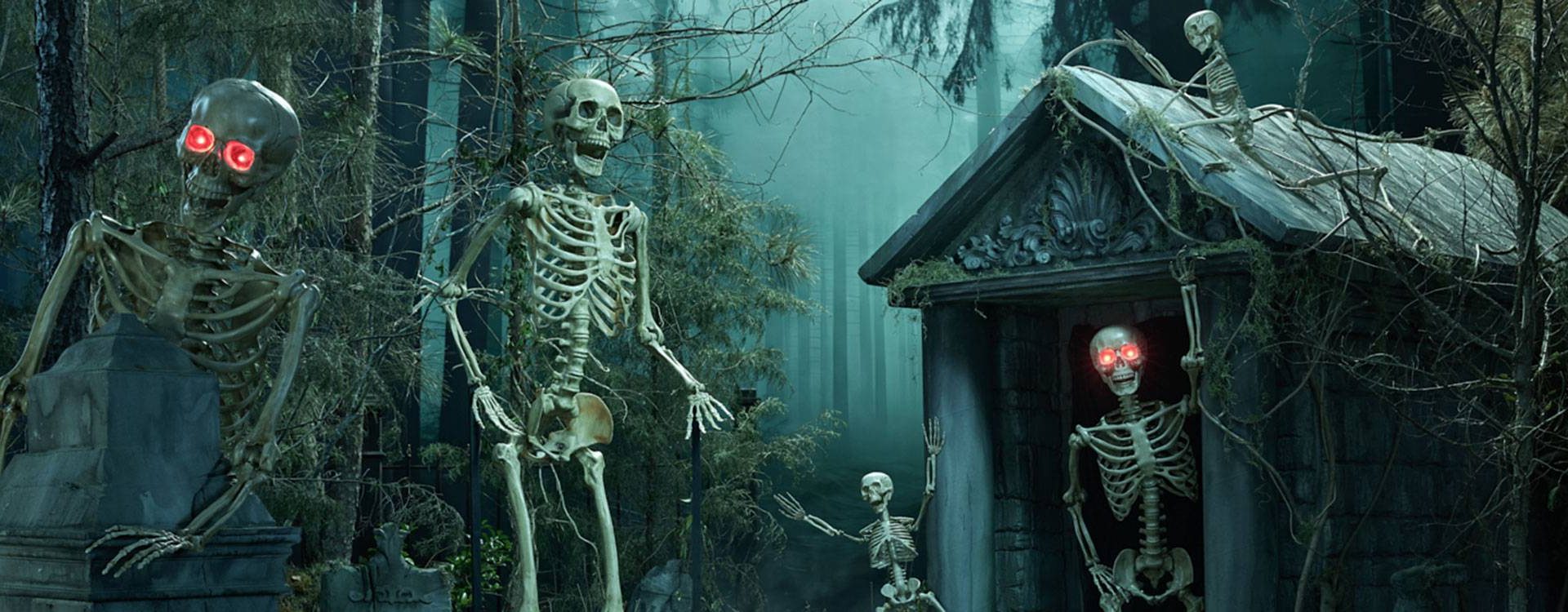 A spooky scene in a misty forest features several skeletons with glowing red eyes emerging from a crypt. Dense trees surround the area, and a skeletal figure is climbing out of a tomb, adding to the eerie atmosphere.